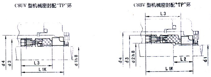 C8 (1).jpg